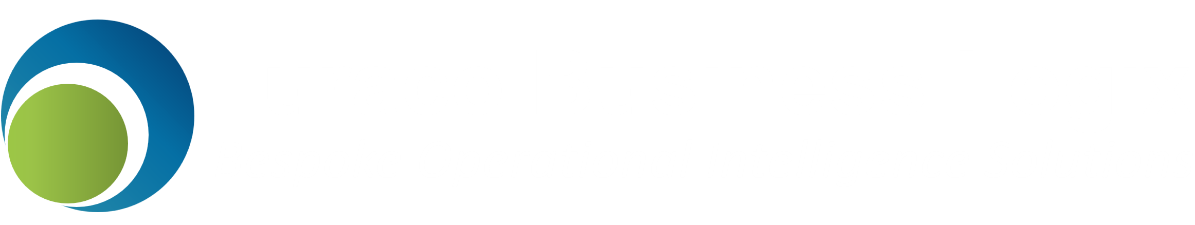 Turaco Business Logix Logo